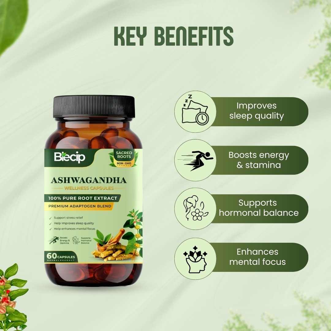 2_20260209_223434_0001