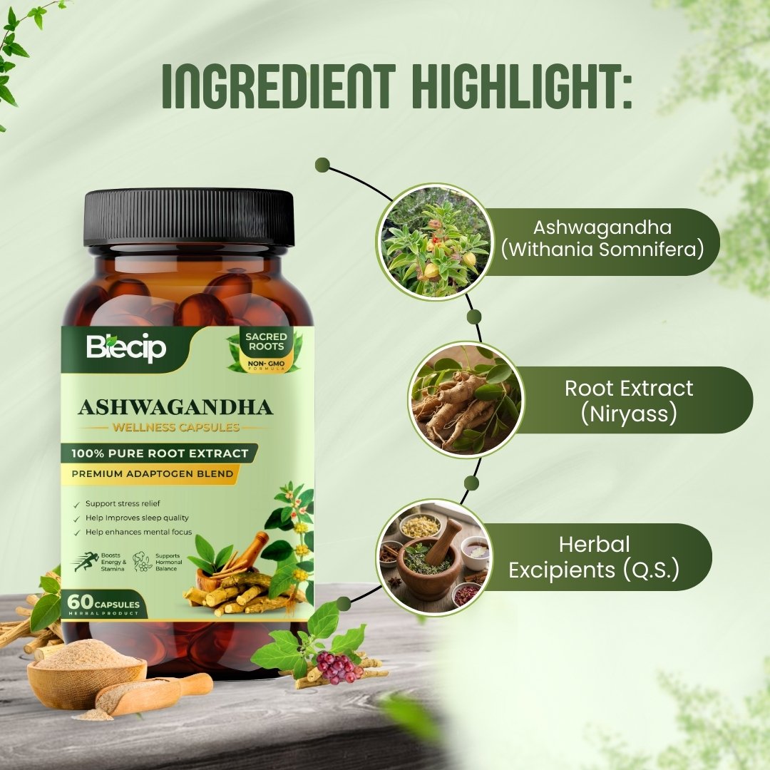 3_20260209_223434_0002